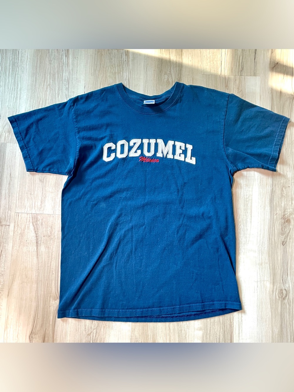 Cozumel Mexico Navy Graphic Tee, excellent condition, cotton, men’s size: Large